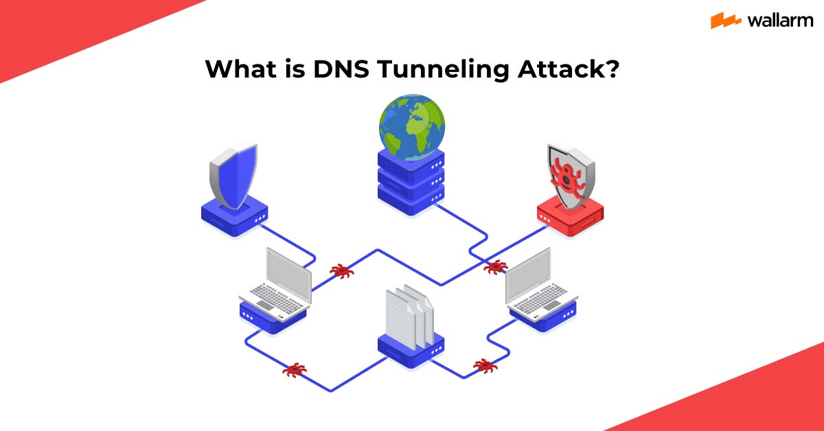 Beautiful view of Dns Tunneling Attack Detection